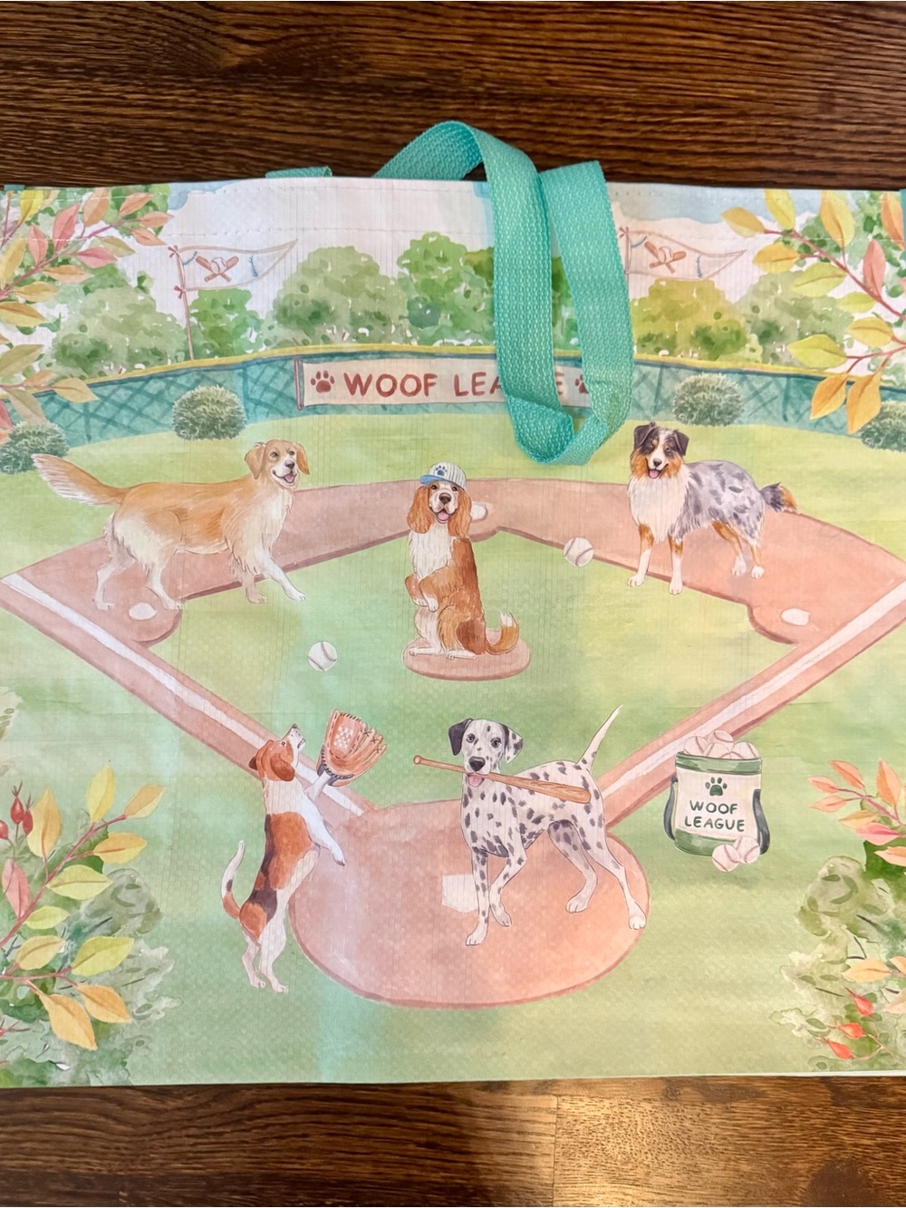 Homegoods TjMaxx Marshalls Reusable Tote- Sports Dogs Print